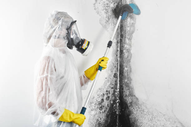 Best Air Quality Testing for Mold Spores  in Harriman, NY