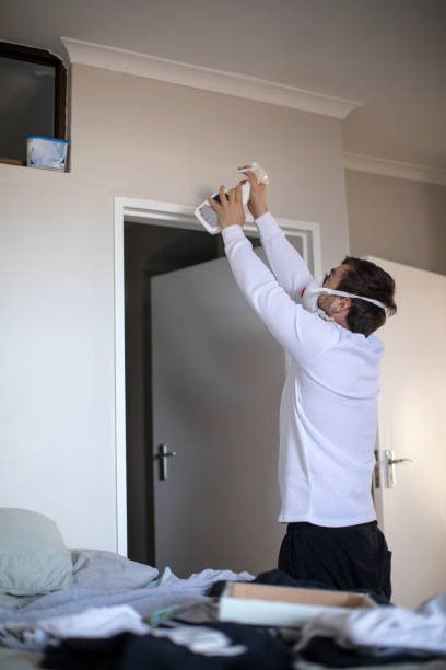 Best Emergency Mold Remediation  in Harriman, NY
