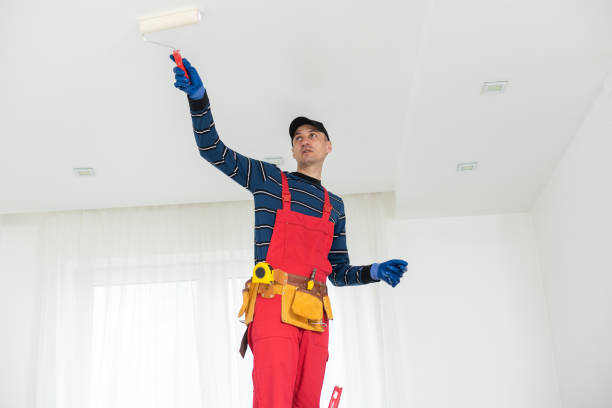 Harriman, NY Mold Removal Company