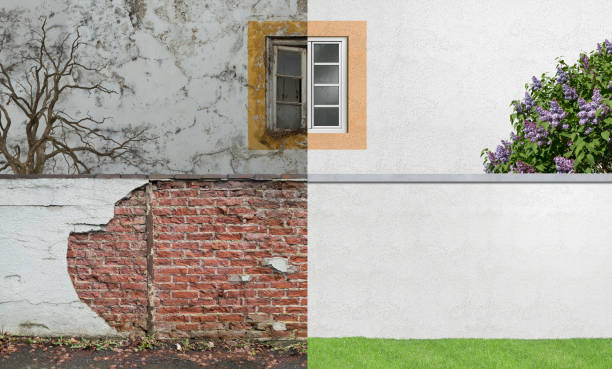 Best Mold Odor Removal Services  in Harriman, NY
