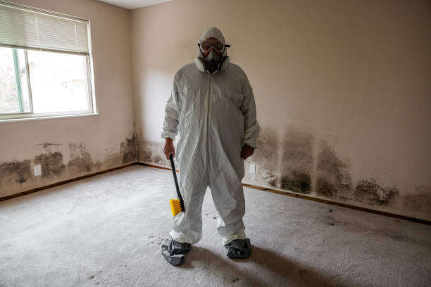 Best Commercial Mold Inspection  in Harriman, NY
